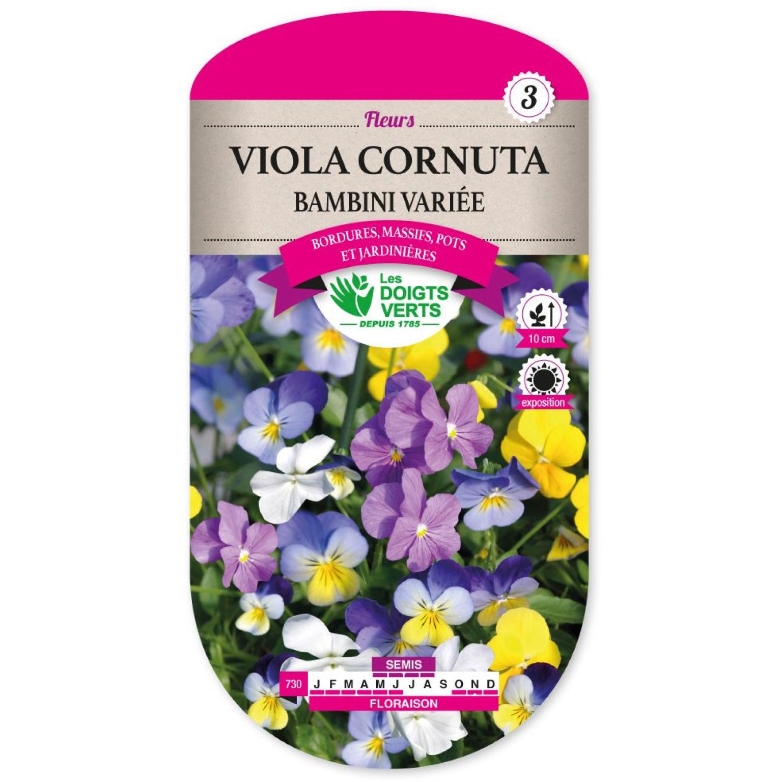 VIOLA CORNUTA BAMBINI VARIEE
