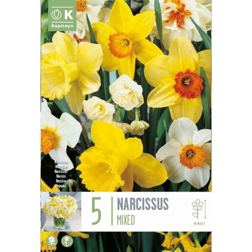 NARCISSE MELANGE X5 CAL 14/16