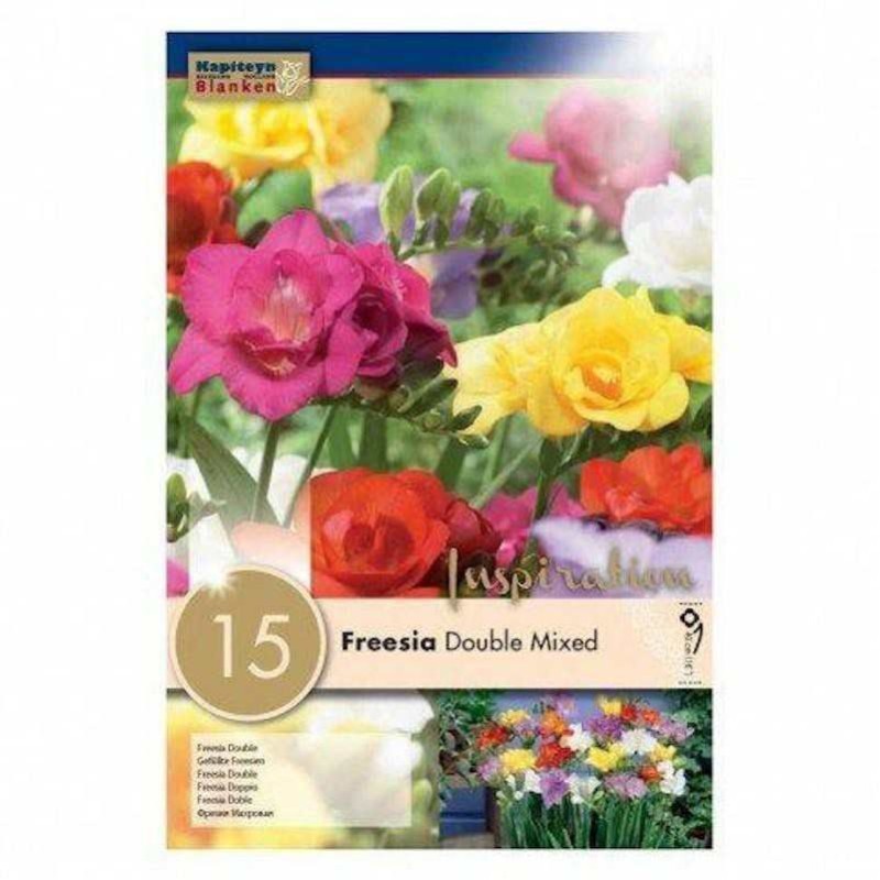 FREESIA DOUBLE MIX X15 CAL 5/6