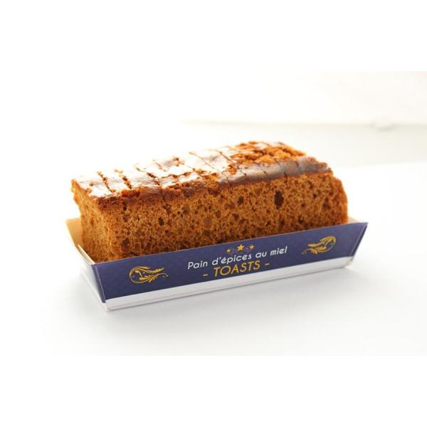 PAIN EPICE TOAST MIEL 120G