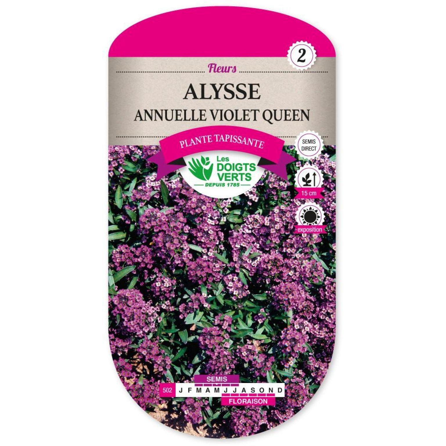 ALYSSE ANNUELLE VIOLET QUEEN