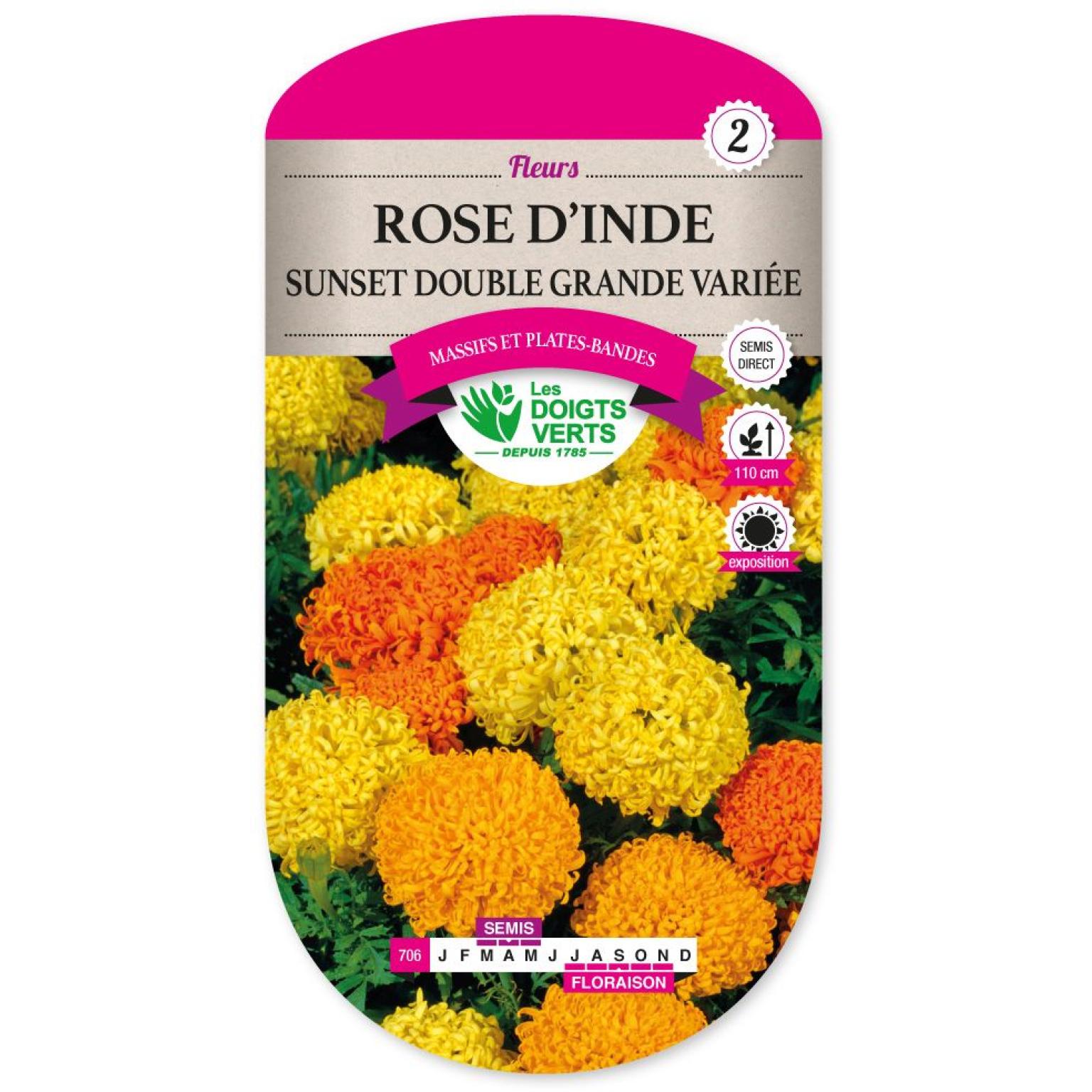 ROSE D INDE SUNSET DOUBLE GRANDE VARIEE