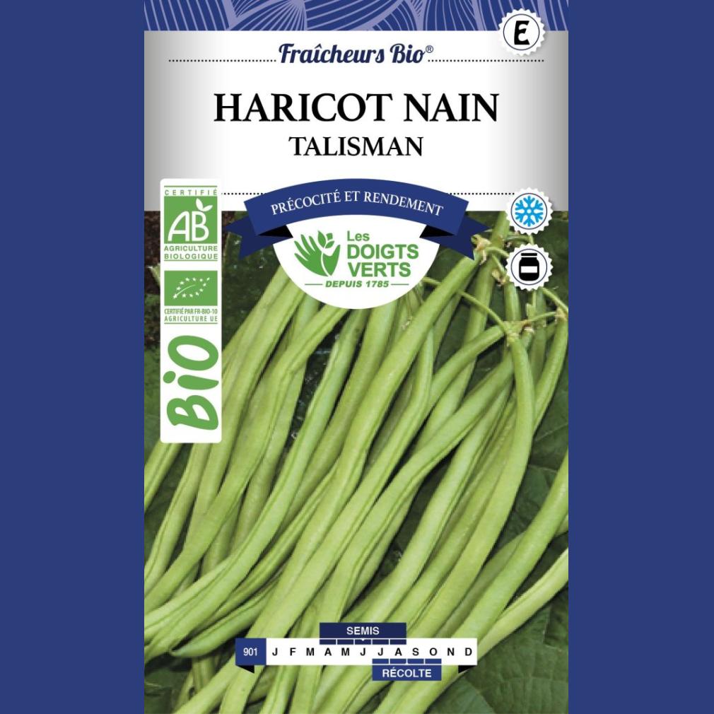 HARICOT NAIN TALISMAN BIO 100G