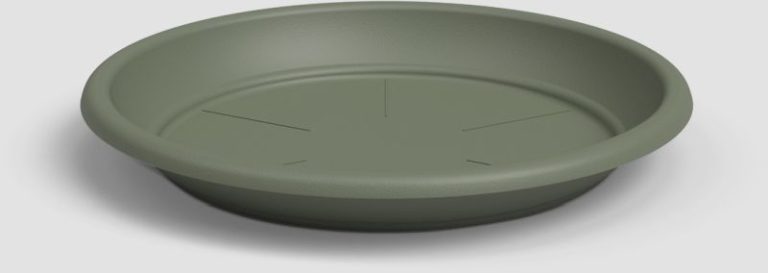 SOUCOUPE RONDE 22CM VERT CENDRE