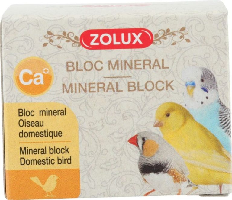 PICOSEL OISEAUX