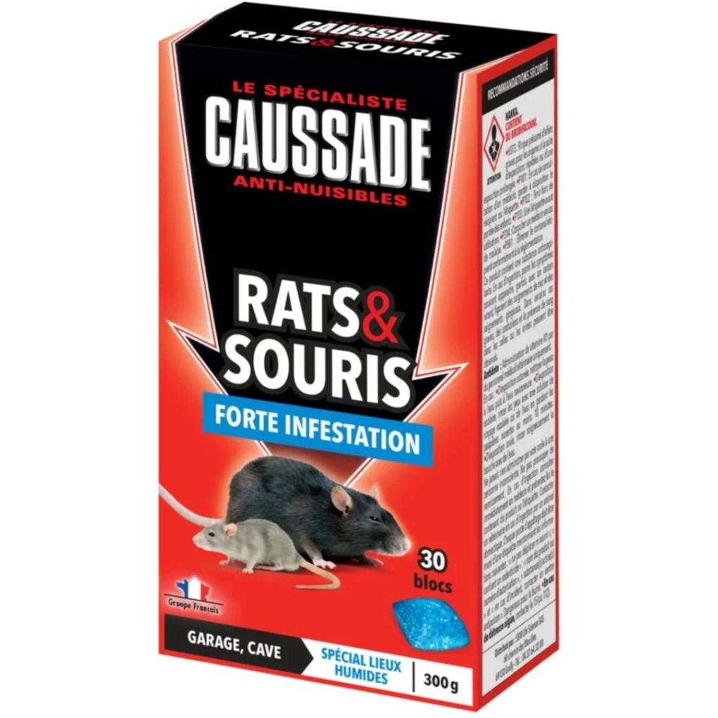 BLOC RAT SOURIS 30X10GR 300GR