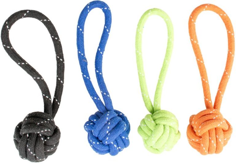 SCOOBY CORDE DUMMY BALL AVEC BOUCLE