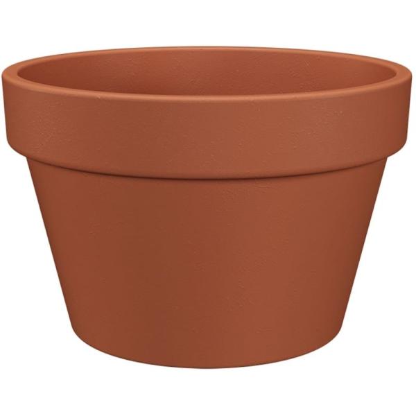 COUPE AMALIA 21CM NATUREL