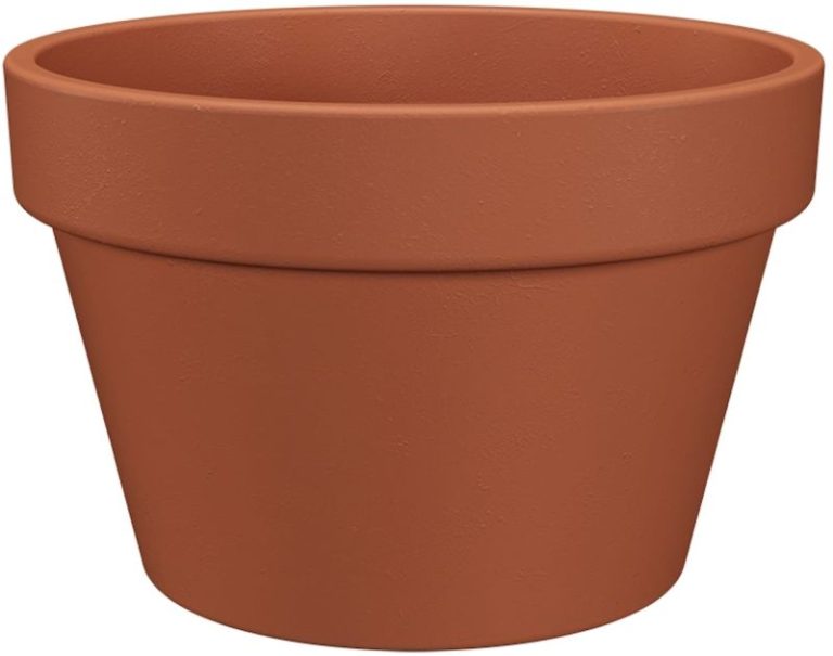 COUPE AMALIA 32CM NATUREL
