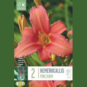 HEMEROCALLIS PINK CHARM X2