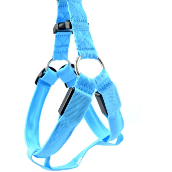 HARNAIS NYLON REGLABLE 16-35/50 TURQUOISE