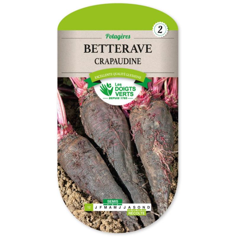 BETTERAVE CRAPAUDINE