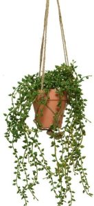 PLANTE EN POT ARTIFICIEL