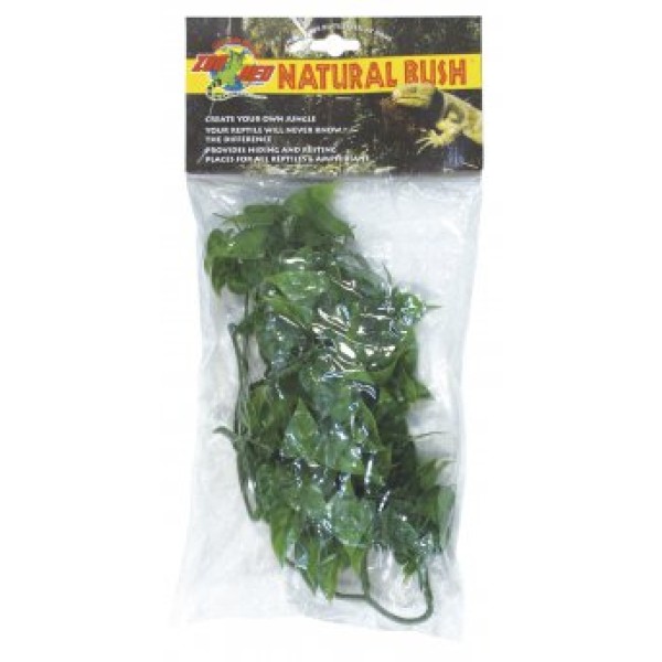 PLANTE BUTTON FERN BU49E