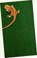 REPTILE CARPET 120X60CM