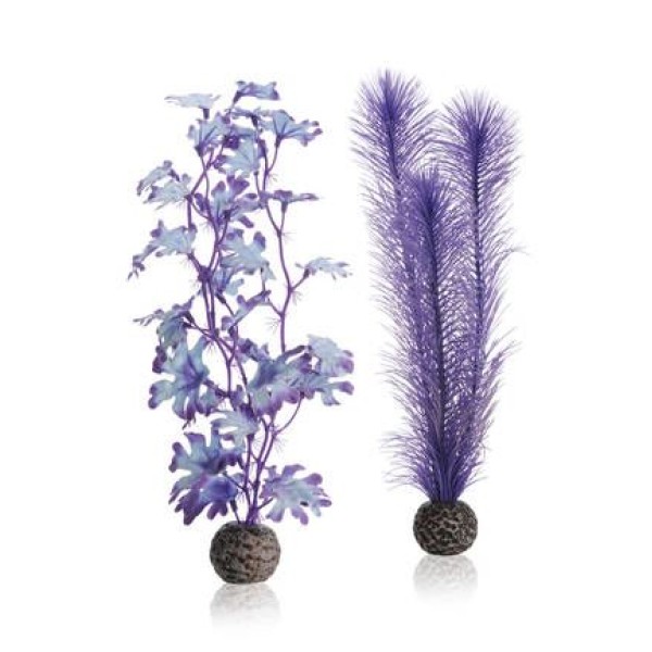 BIORB SET DE PLANTES VIOLETTES