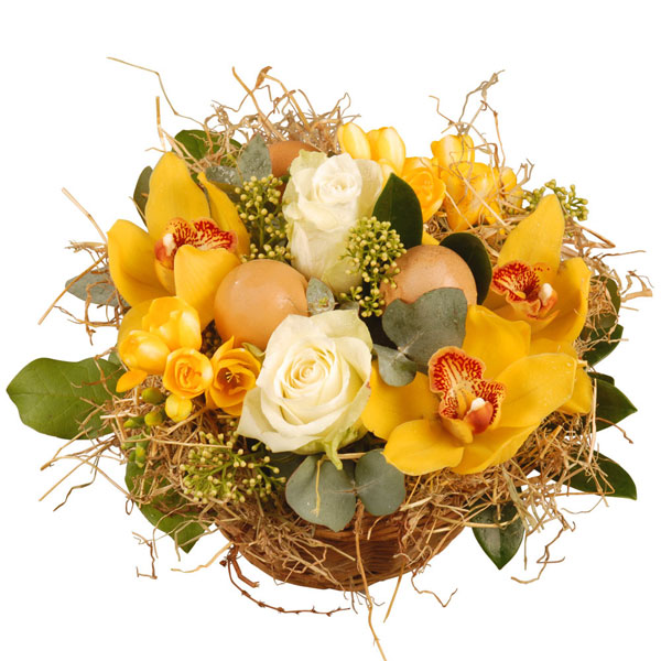 COMPOSITION PLANTES GLOBE