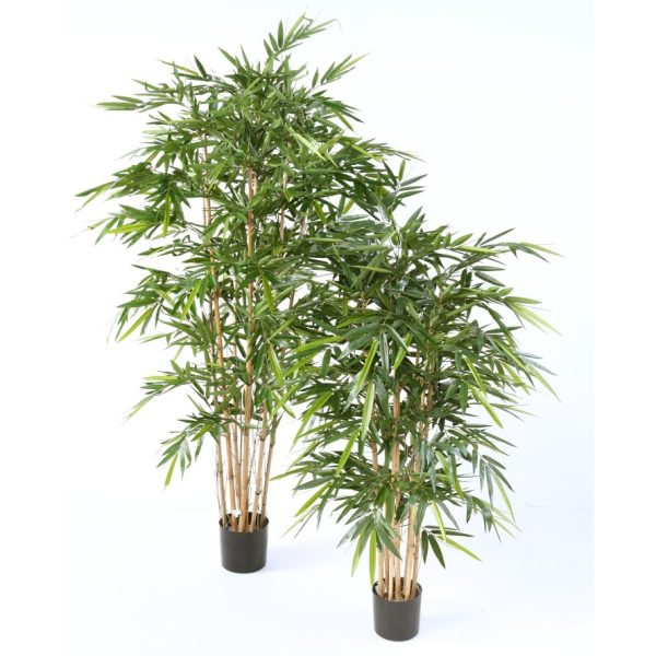 BAMBOU NEW LUXE