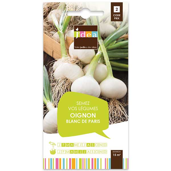 OIGNON BLANC DE PARIS