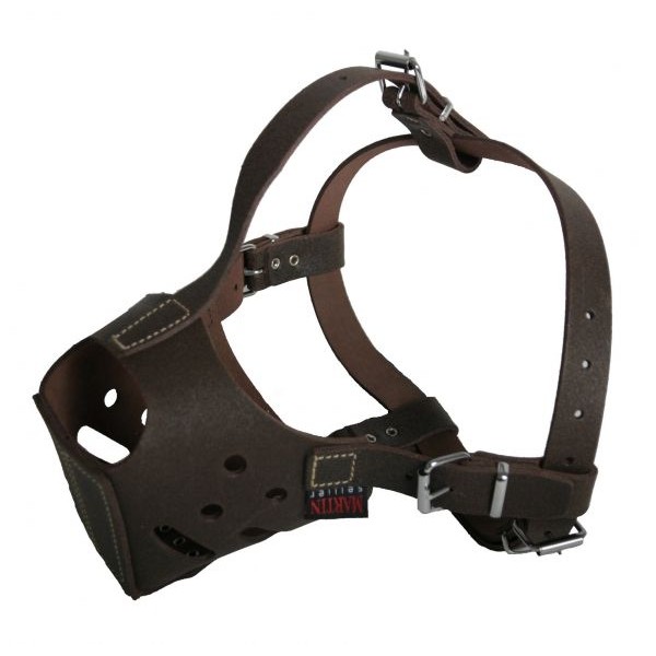 MUSELIERE CDC MARRON ROTTWEILER T1