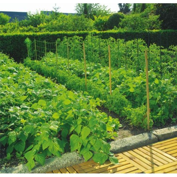 FILET A RAMER VERT 20X20 2X5M