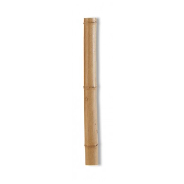 BAMBOU DECORATIF VERNIS D60MM H2.95M