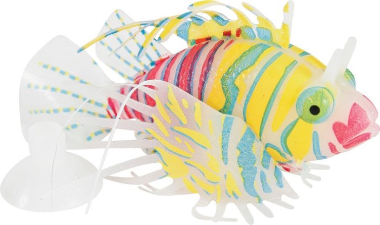 DECOR SWEETYFISH RASCASSE M