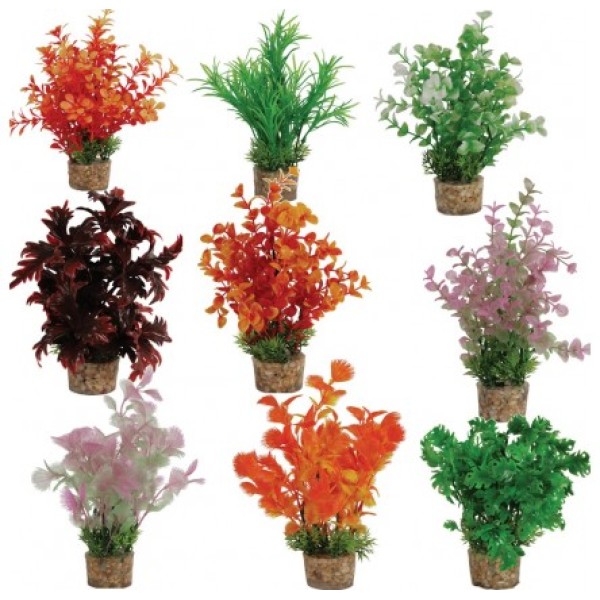 DECOR PLANTE MEDIUM T2 ASSORTI