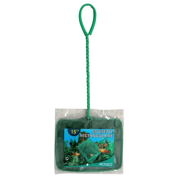 EPUISETTE VERTE 15CM