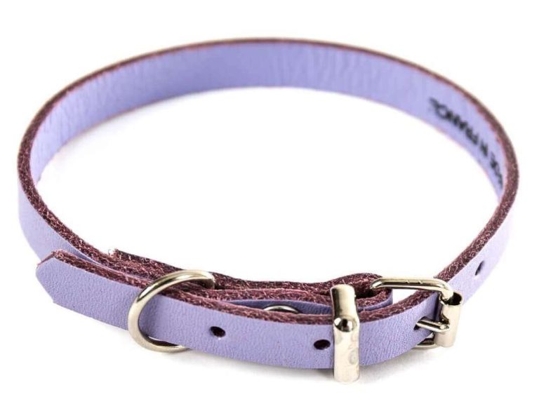 COLLER CUIR 18-45CM BLEU