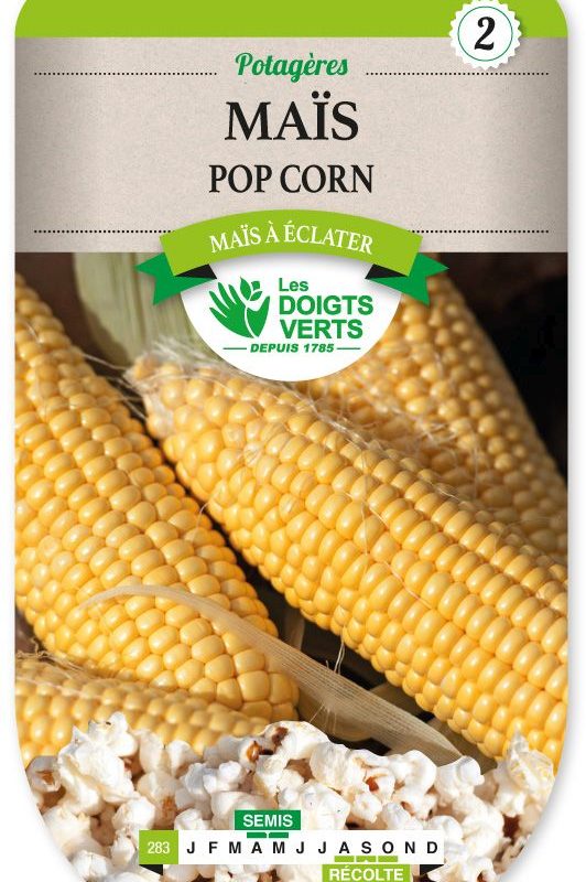 MAIS POP CORN