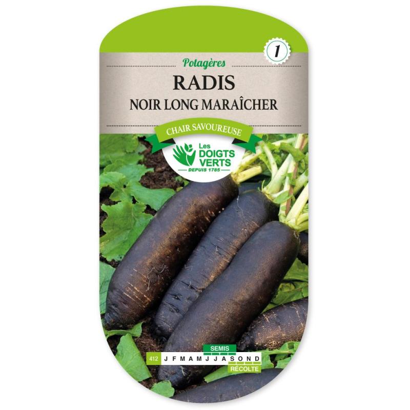 RADIS NOIR LONG MARAICHER