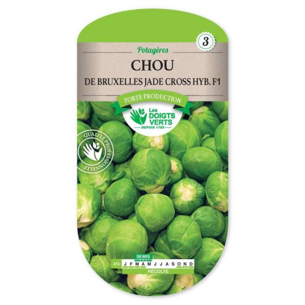 CHOU DE BRUXELLES JADE CROSS HYBRIDE F1
