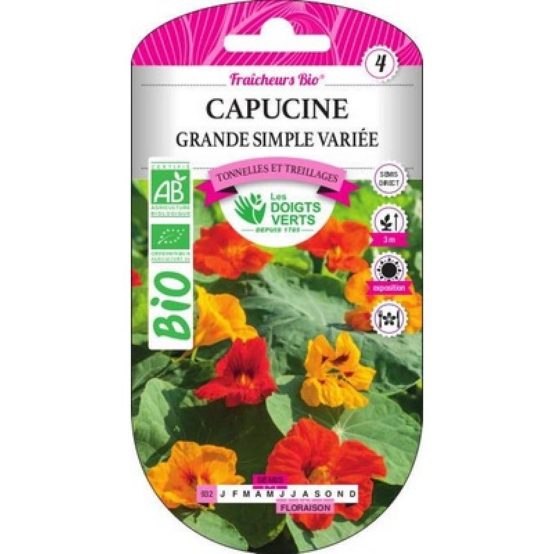 CAPUCINE GRANDE SIMPLE VARIEE FLEUR COMESTIBLE BIO