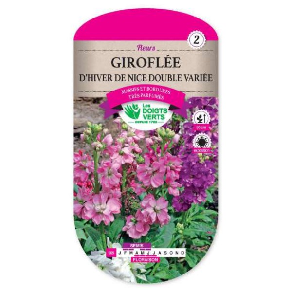 GIROFLEE HIVER NICE DOUBLE VAR