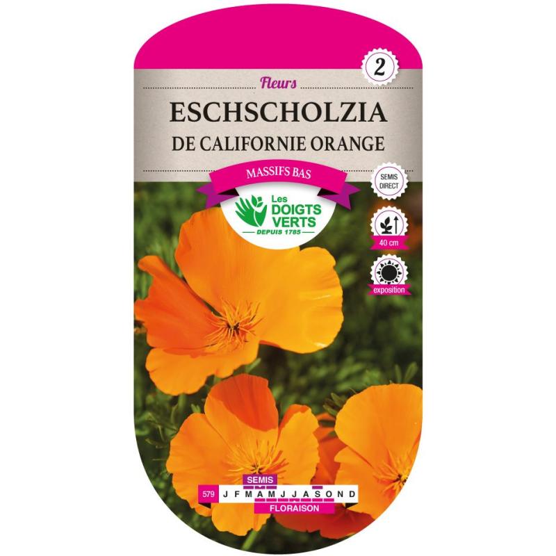 ESCHSCHOLZIA DE CALIFORNIE ORANGE