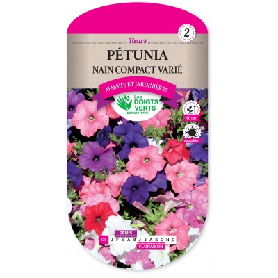 PETUNIA NAIN COMPACT VARIE