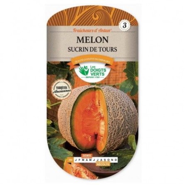 MELON SUCRIN DE TOURS