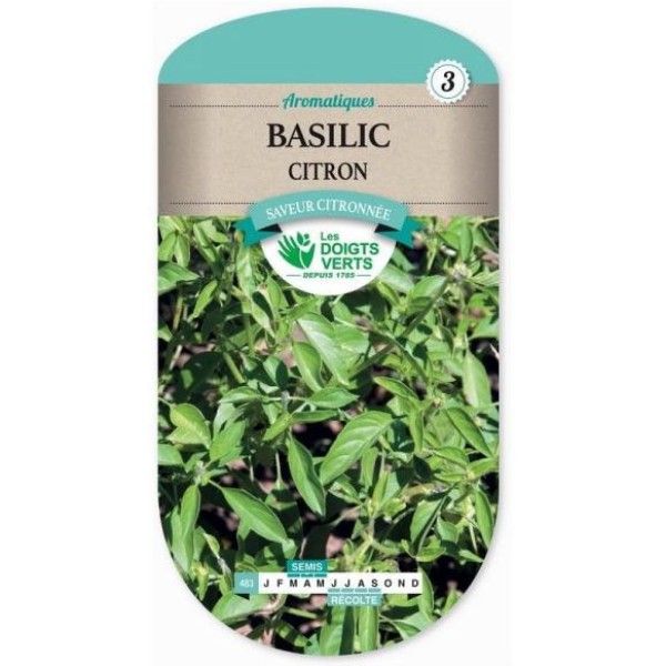 BASILIC CITRON