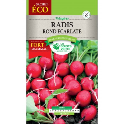 RADIS ROND ECARLATE