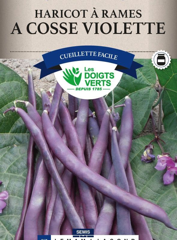 HARICOT A RAMES A COSSES VIOLETTES 200G