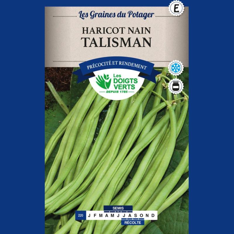 HARICOT NAIN TALISMAN 200G