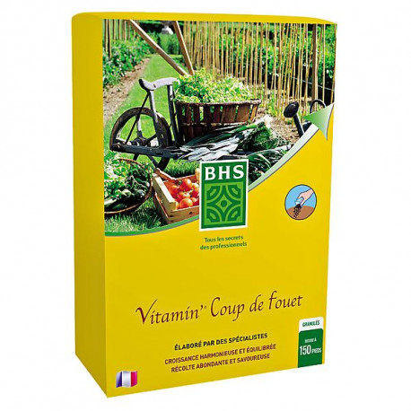 ENGRAIS VITAMIN COUP FOUET 1.5KG