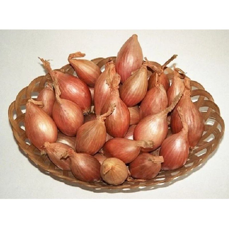 ECHALOTE JERMOR 500G