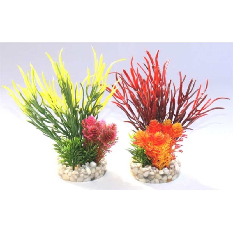 COMPOSITION SEA GRASS
