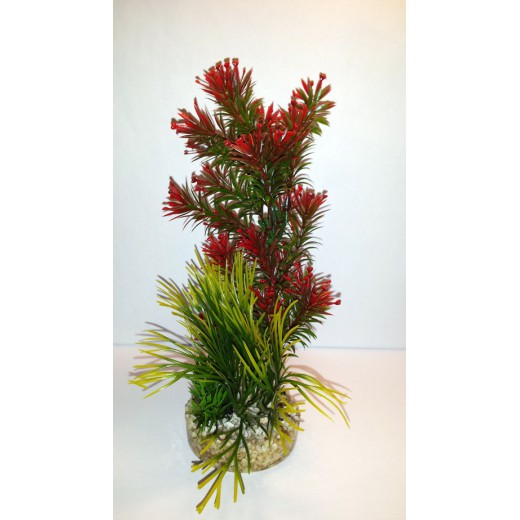 COCKTAIL PLANT MEDIUM