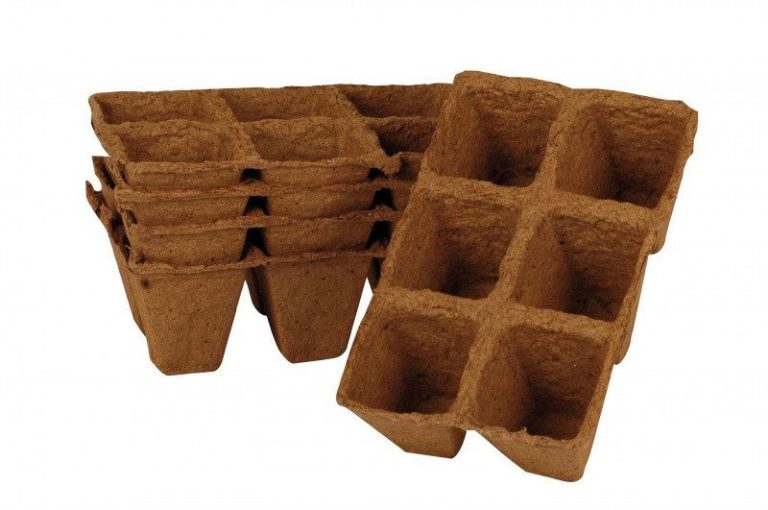 GODETS DE CULTURE EN PLAQUES CARRE 6X6CM X30