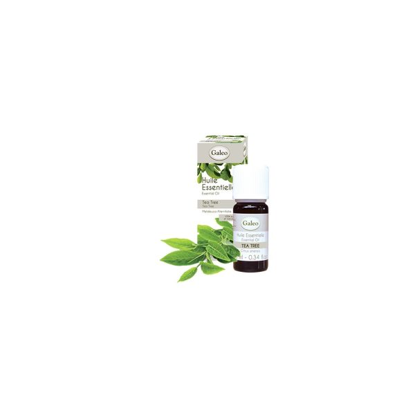 HUILE ESSENTIELLE 10ML TEA TREE