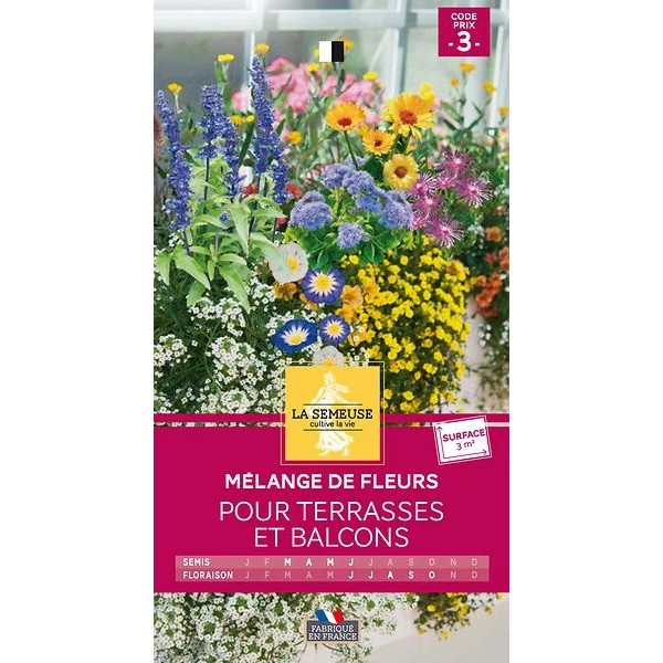 MELANGE DE FLEURS POUR TERRASSES ET BALC