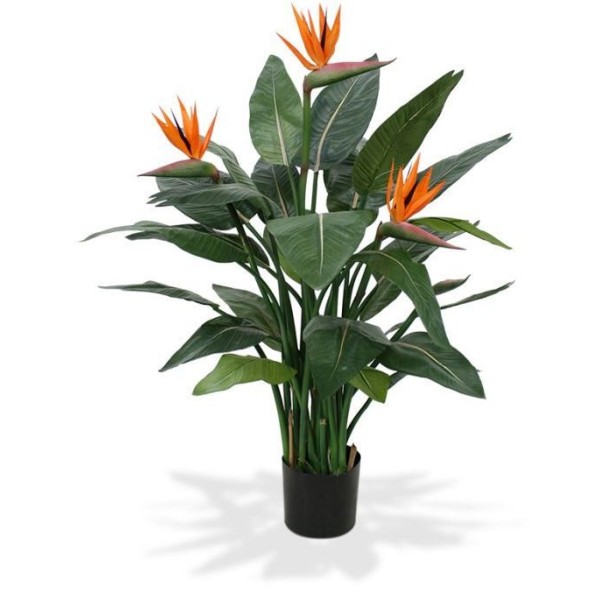 STRELITZIA 3FL 1BT 150 ORANGE